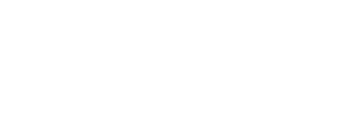JD Snapshot Logo White