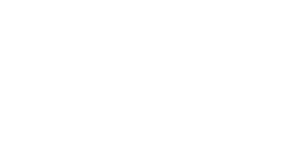 Digital Marketing Institute Logo White