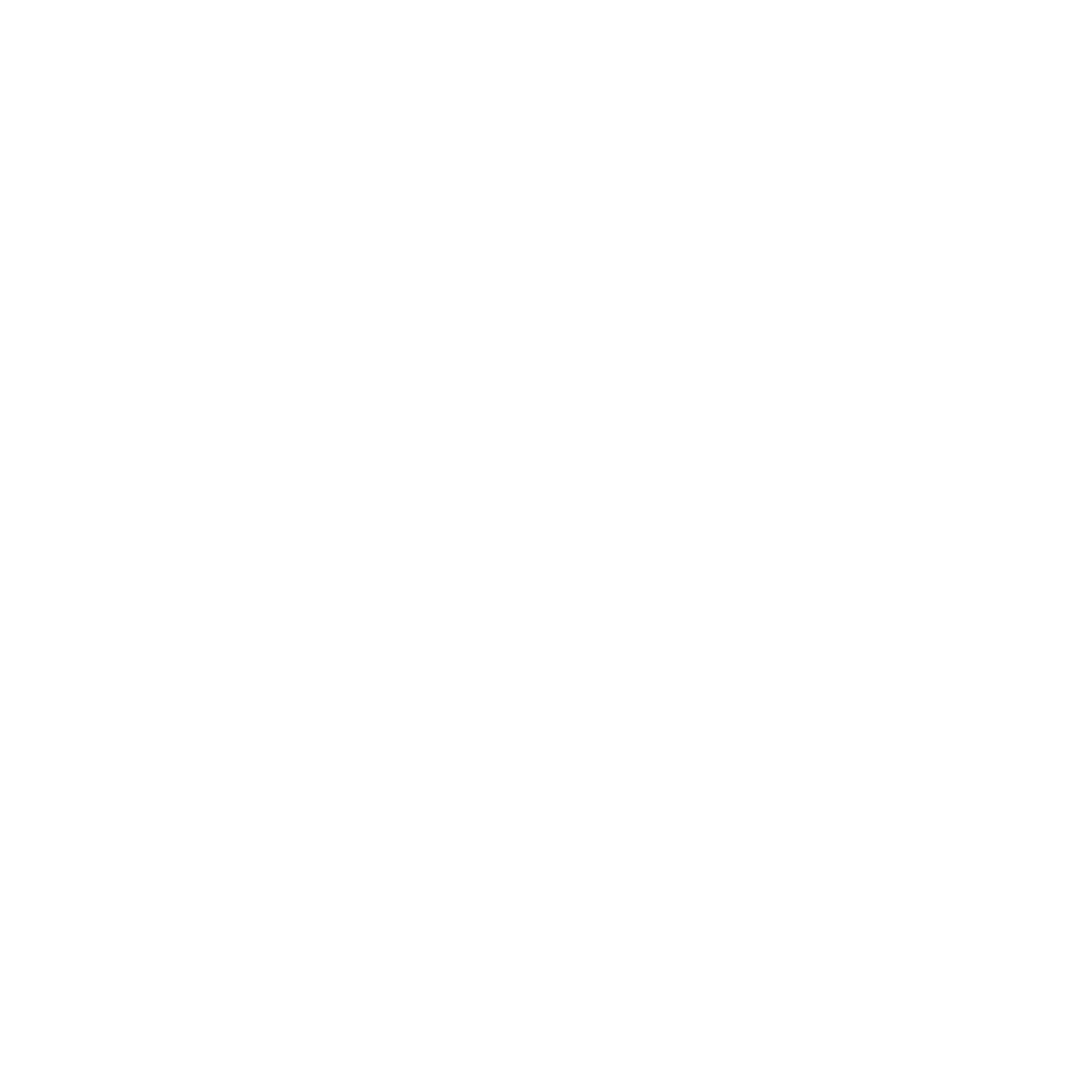 Google__G__logo White
